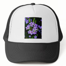 BRANDED MESH HATS