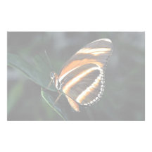 Branded orange butterfly, Central and South Americ Stationery Paper