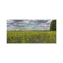 Brandenburg Flower Field Canvas Prints
