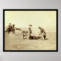 Branding Calves On Roundup SD 1888 Poster