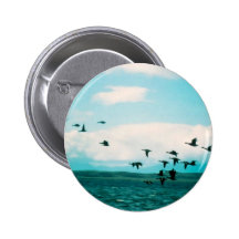 Brant Button