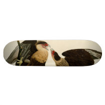 Brasilian Caracara Eagle Skate Board