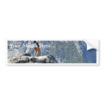 Brave Person Walking Out On The Glacier Point Ledg Bumper Stickers