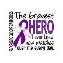 Bravest Hero I Ever Knew Pancreatic Cancer Postcards