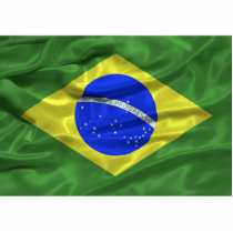 Brazil Flag Magnet Acrylic Cut Outs