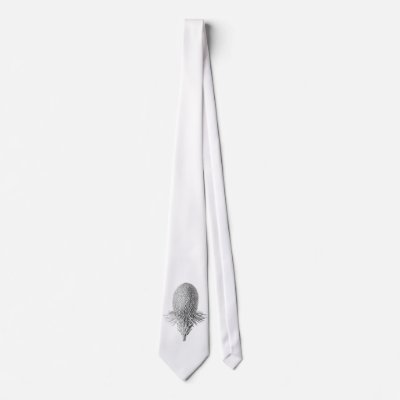 Brazilian Pine Neckties by Ernst_Haeckel