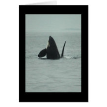 Breaching Orca Greeting Card