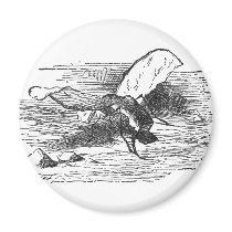 Bread and Butter Fly magnets