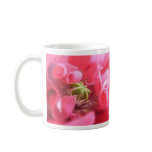Breadseed Poppy - Papaver Somniferum Mug