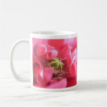 Breadseed Poppy - Papaver Somniferum Mug