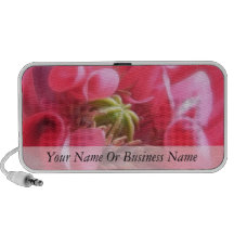 Breadseed Poppy - Papaver Somniferum iPhone Speakers