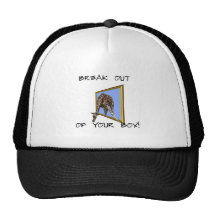 Break out of your box mesh hat