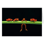 break the ranks greeting cards