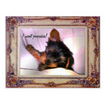 Breakfast in bed Yorkie? Postcard