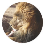 Breakfast of Champions Sticker