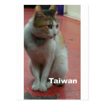 Breakfast shop door''s Cat TAIPEI,Taiwan Post Card
