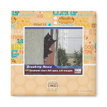 Breaking News 2 Fridge Magnets