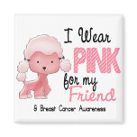 Breast Cancer I Wear Pink For My Friend 47
