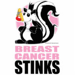 Breast Cancer Stinks photo sculptures