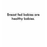 Breast fed babies are healthy babies. t-shirts