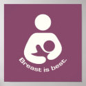 Breast Is Best Icon - Mauve posters