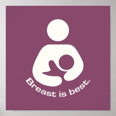 Breast Is Best Icon - Mauve Posters by JaZilla