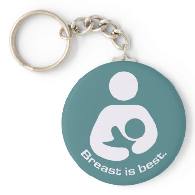 Breast Is Best Icon - Teal Keychains by JaZilla