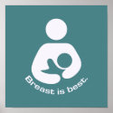 Breast Is Best Icon - Teal posters
