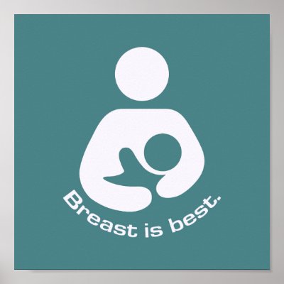 Breast Is Best Icon - Teal Poster by JaZilla
