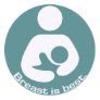 Breastfeeding Icon Breast Is Best Teal Stickers