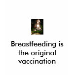 Breastfeeding is the original vaccination t-shirts