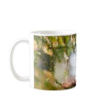 Breastfeeding Squirrel Mug