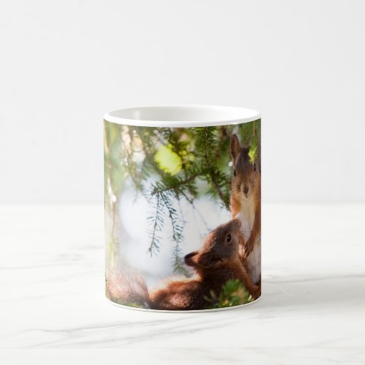 Breastfeeding Squirrel Mug