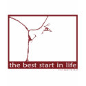 Breastfeeding - the best start in life t-shirts