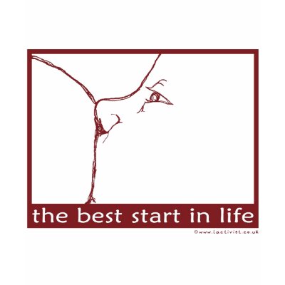 Breastfeeding - the best start in life shirts by lactivist