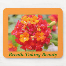 Breath Taking Beauty Mouse Pad