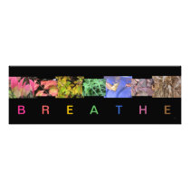 Breathe Nature Photo Collage