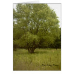 Breathing Room Card