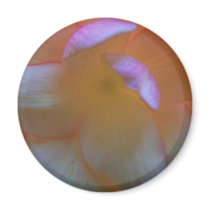 Breathtaking Begonia Magnet