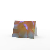 Breathtaking Begonia Note Card