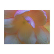 Breathtaking Begonia Postcard