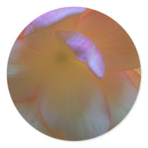 Breathtaking Begonia Sticker