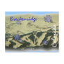 Breckenridge Colorado postcard