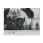 breena pic post card