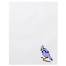 Breezee Blue Jay Flyers