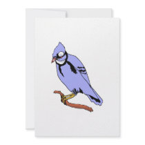 Breezee Blue Jay Personalized Announcements