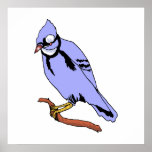 Breezee Blue Jay Poster