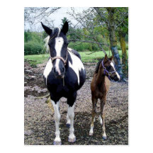 Breezie n Zura Post Cards