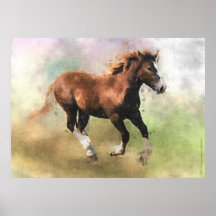 Breton draught   horse foal print