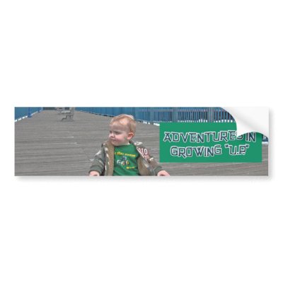 Brian Bumper Sticker by bjduff